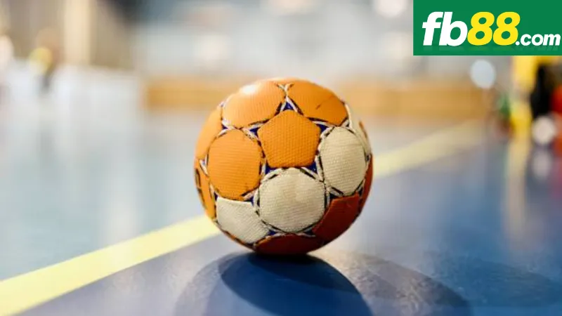 Hướng Dẫn Từng Bước Để Chơi Cá Cược Bóng Ném FB88 Thành Công 2 Các bước chuẩn bị trước khi tham gia cá cược